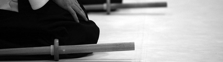In Aikido (A Japanese martial art) they believe a sword is just an extension of one's arm.
